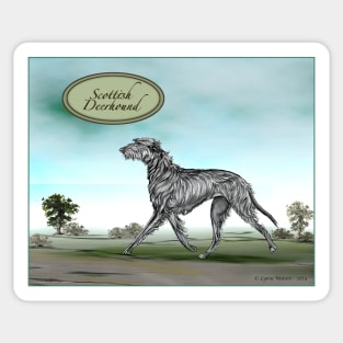 Scottish Deerhound. Sticker